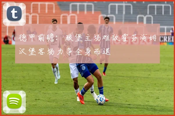 德甲前瞻：狼堡主场难敌霍芬海姆汉堡客场力争全身而退