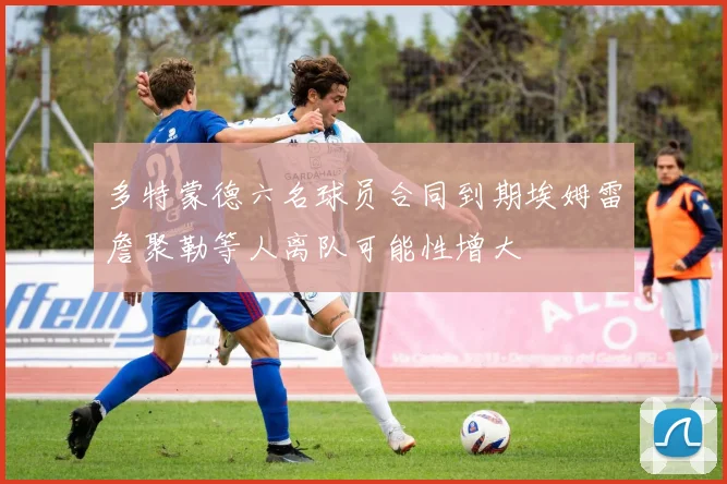 多特蒙德六名球员合同到期埃姆雷詹聚勒等人离队可能性增大