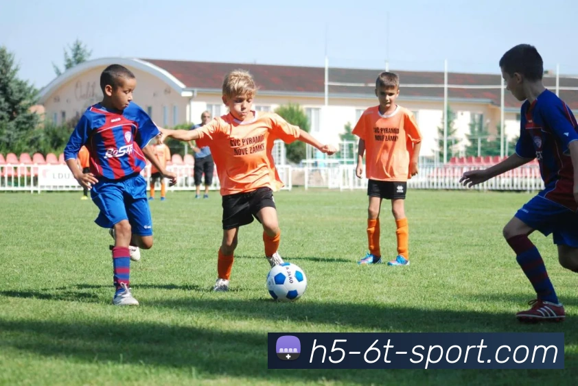 App Interface Preview